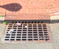 Making Savvy, Successful Stormwater Solutions: Why the Municipal Separate Storm Sewer (MS4) Permit Renewal Matters