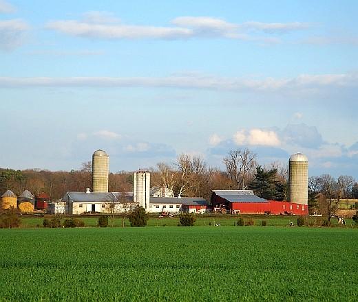 A New Jersey farm