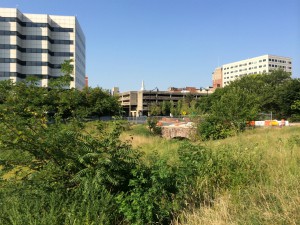 A view of the vacant lot that currently covers the Assunpink Creek, towards the obscured S. Broad Street Bridge. Across the street is Mill Hill Park.