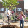 Camden SMART volunteers planting trees