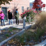 Case Study: How Bioswales Are Helping To Clean Brooklyn’s Gowanus Canal
