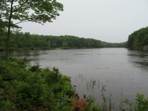 Johnson Lake in Byram, part of the township's Tamarack Park Greenway project. Photo courtesy of Byram Councilman Scott Olson.