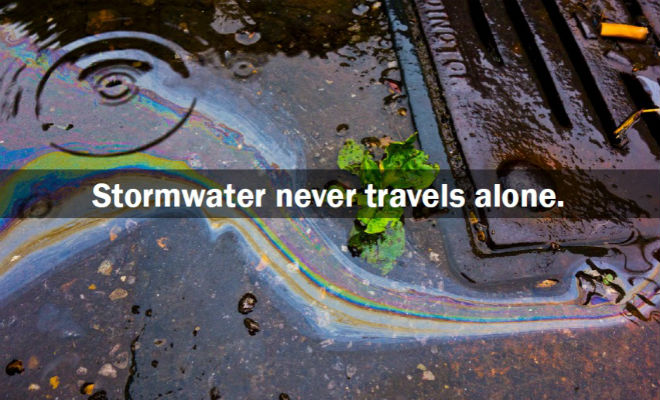 Stormwater never travels alone.