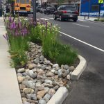 New Jersey Municipalities Share Green Infrastructure Planning Progress