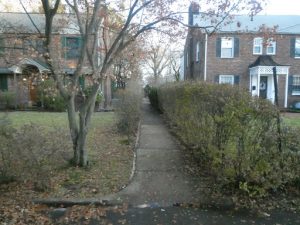 A pedestrian walkway between homes. 