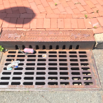 Making Savvy, Successful Stormwater Solutions: Why the Municipal Separate Storm Sewer (MS4) Permit Renewal Matters