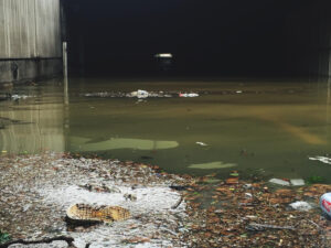 Tested Solution Addresses Flooding, Polluted Runoff