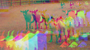 Electric Yard Goats and Environmental Justice