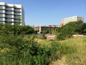 Community Meeting Brings Assunpink Daylighting to the Light of Day