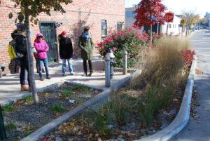 Case Study: How Bioswales Are Helping To Clean Brooklyn’s Gowanus Canal