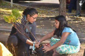 A Rain Garden Grows in Harrison