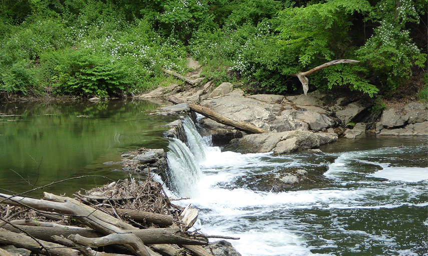 informative-card-image