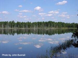 Regional Planning in the Pinelands: Well-Directed Growth, but What Effect on Natural Resources?