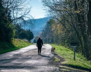 With the Parks Closed, Now is the Time to Open the Streets