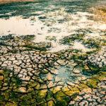 Adaptation Policy and Implementation