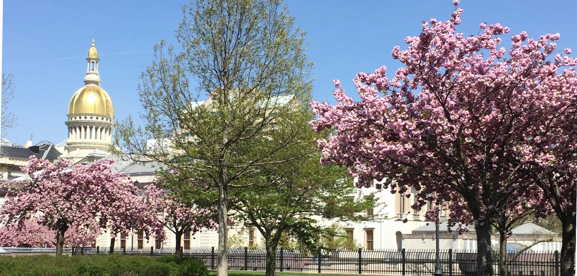 Allowing for special sites and buildings for civic purposes (library, town hall, post office)