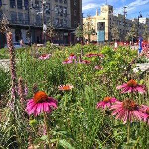 Spring has Sprung! Who is Checking on New Jersey’s Green Infrastructure?