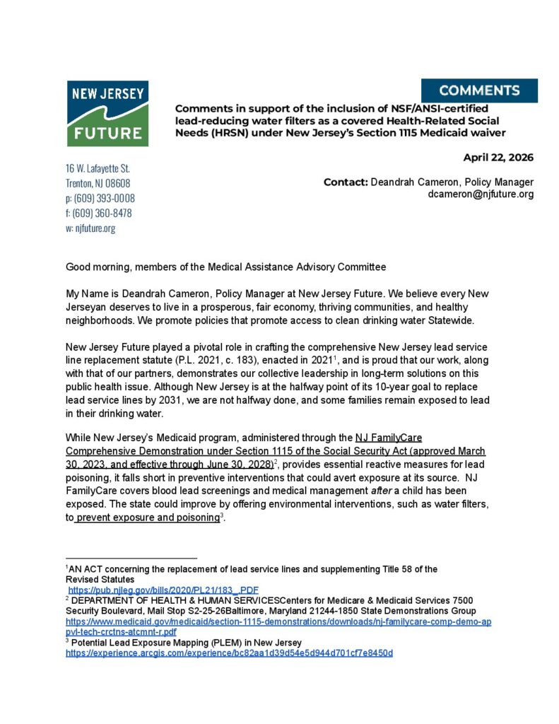 PDF Preview