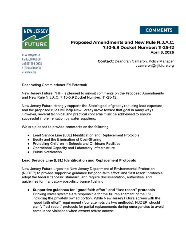 PDF Preview